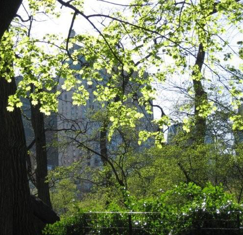 Be Your Bliss Meryl Chodosh-Weiss