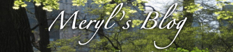 Meryl's Blog